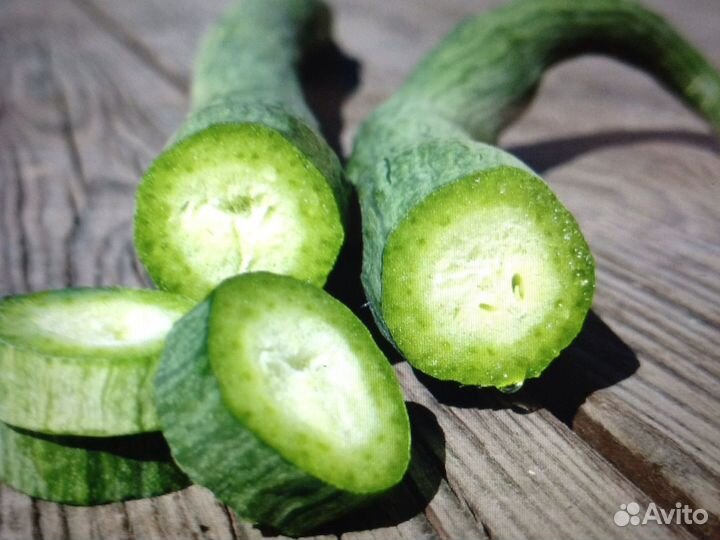 Семена Трихозанта змеевидного 3 сем