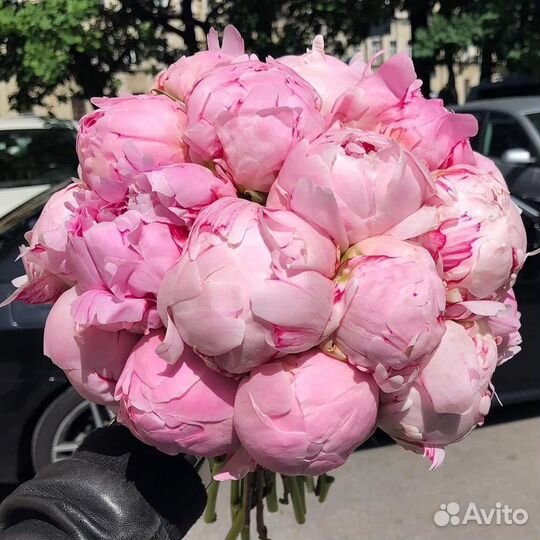 Букет пионов с доставкой
