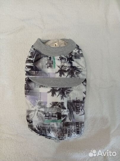 Одежда для маленьких собак