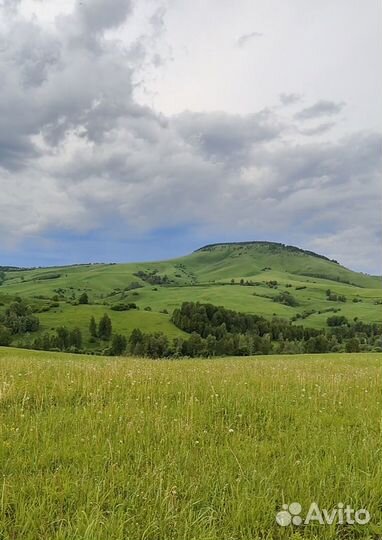 Оформлю Земельный участок в 3 раза ниже рынка