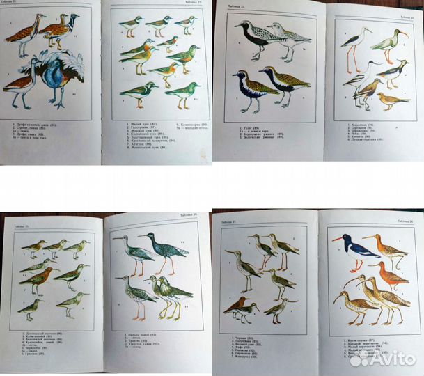 Советские книги птицы