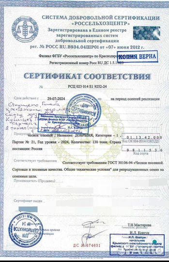 Чеснок на посадку
