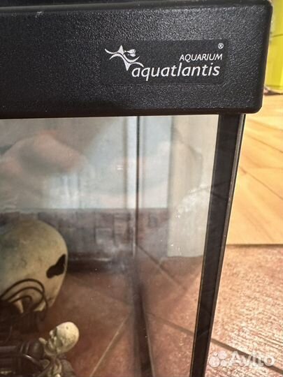 Аквариум