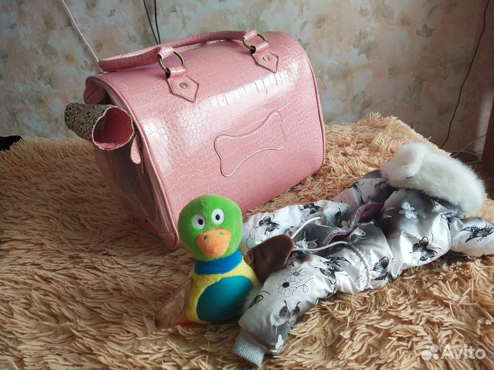 Сумка переноска