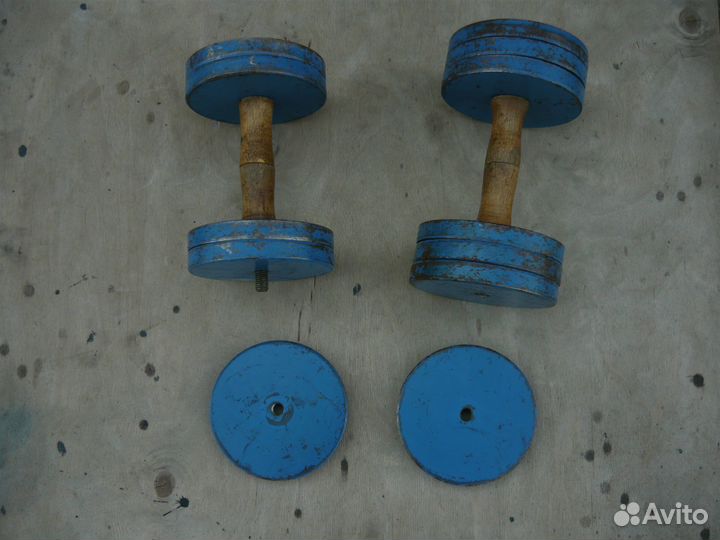 Гантели разборные СССР по 10 кг