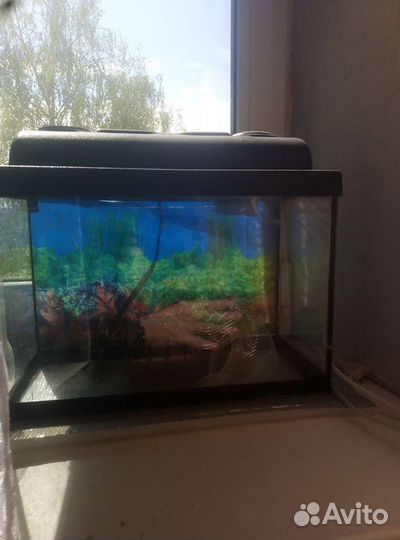 Аквариум
