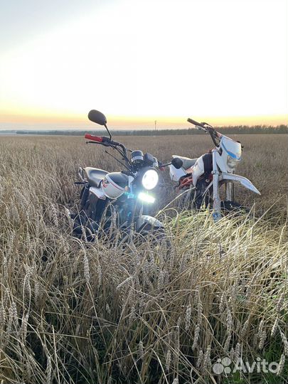 Продаю мопед альфа vmc 125