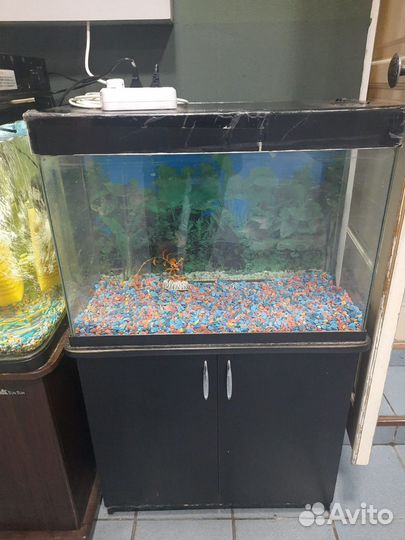 Аквариум