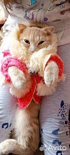 Котик для вязки