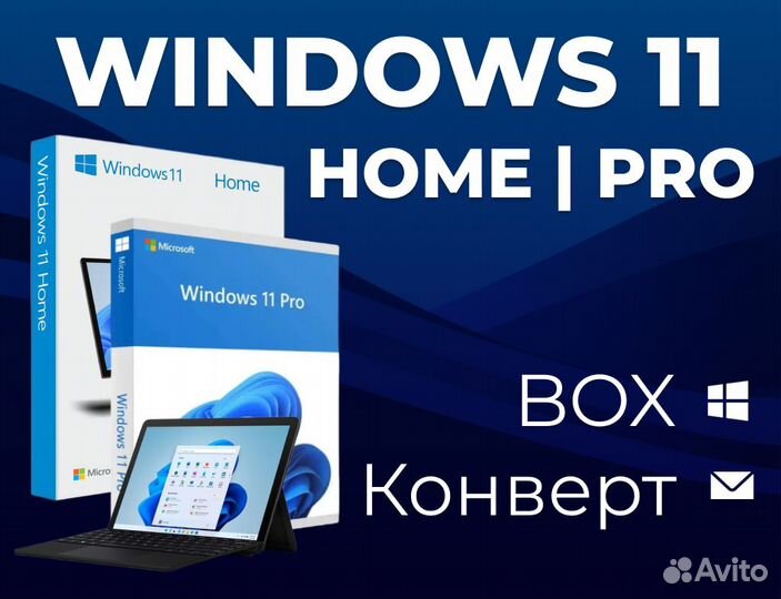 Windows 11 Home/Pro