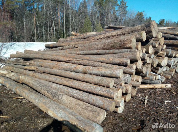 Станочник на ленточную пилораму