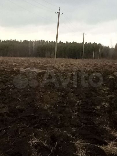 Участок 18,4 га (ИЖС)