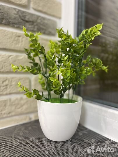 Искусственные растения в кашпо