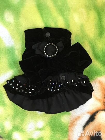 Вещи новые и б/у для мини той-терьера