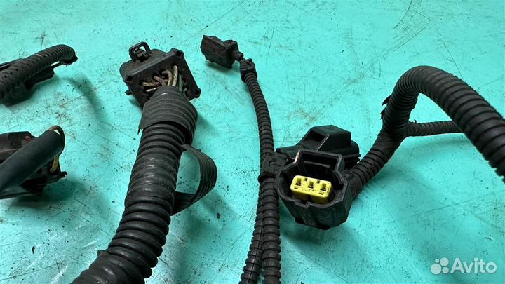 Проводка форсунок #:7168 Ford Focus I 1998-2004