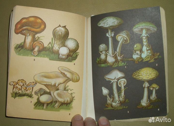 Набор открыток