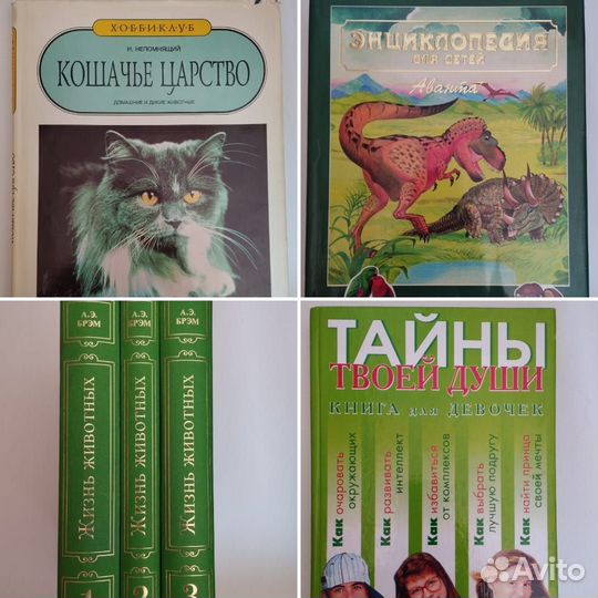 Книги