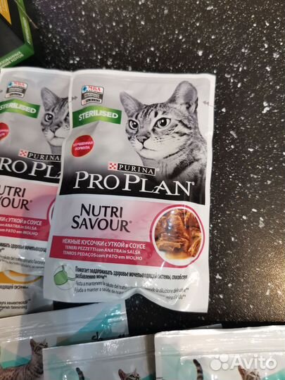 Корм для кошек проплан паучи