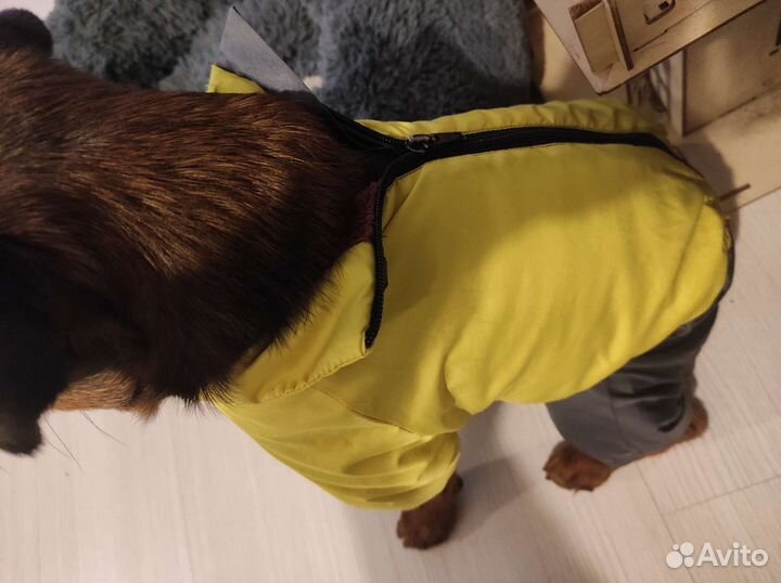 Зимний жилет для собак