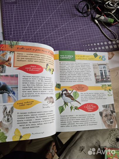 Энциклопедия юного эколога для детей