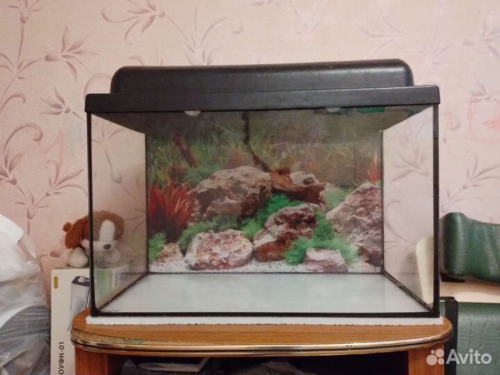 Аквариум
