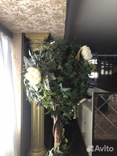 Декоративное растение Высота 1,1.2м