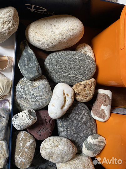 Для аквариума камни ракушки морские