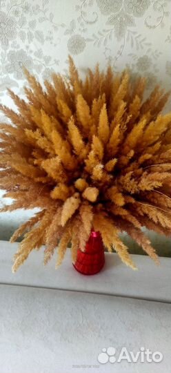 Сухоцветы для творчества