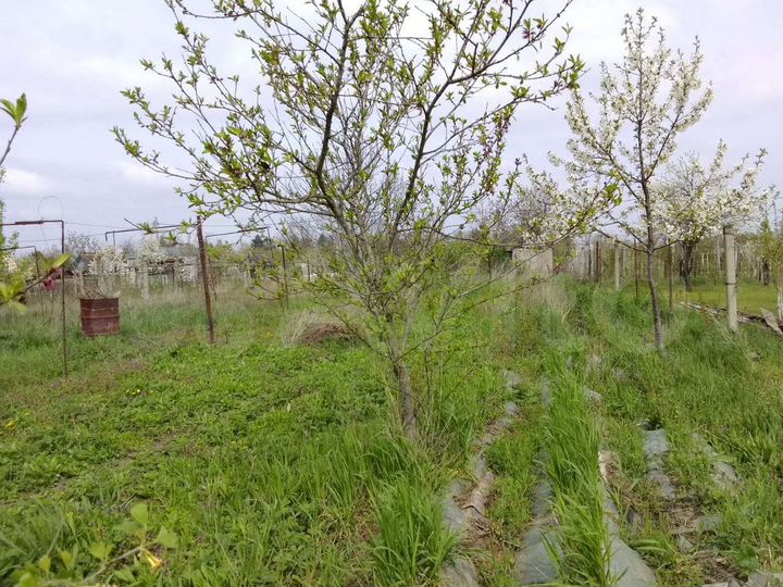 Дача 12 м² на участке 6 сот.