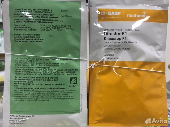 Семена огурцов Директор