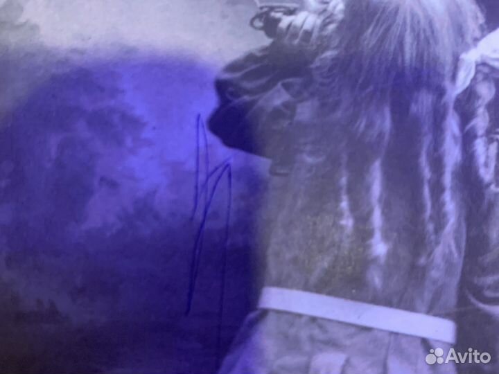 Книга «Собрание Птиц»