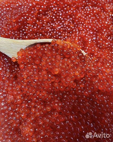 Красная икра Горбуши опт 1000 г. тает во рту