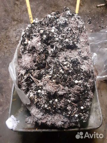 Компост отработанный от шампиньонов (удобрения)