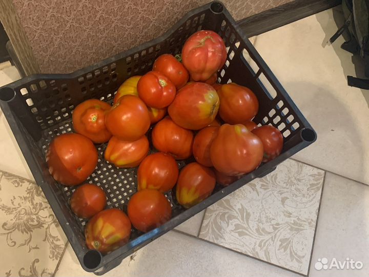 Помидоры свои с дачи