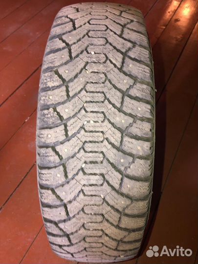 Cordiant Polar 175/70 R13