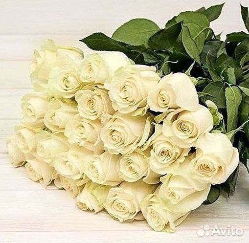 Букет роз 101 роза 51 роза