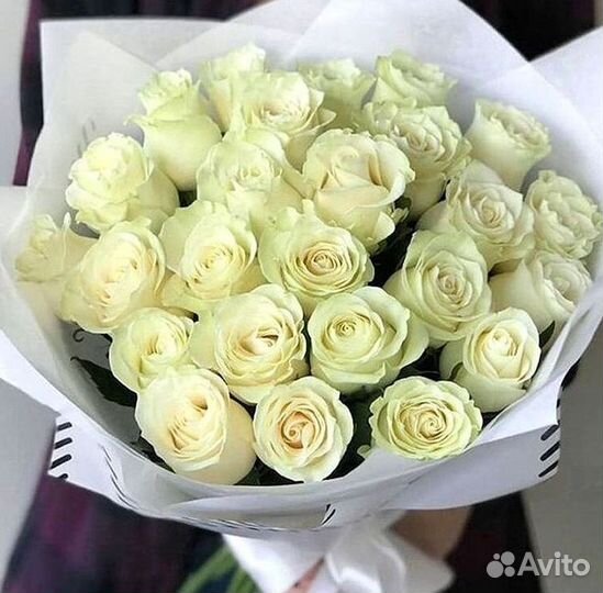 Розы Букеты Цветы Розы 31 101 151 201 Доставка