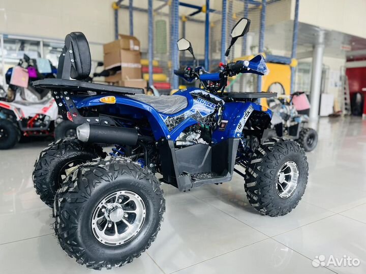 Avantis hunter 8 NEW LUX