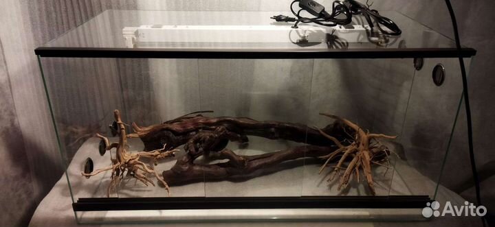 Агама и террариум