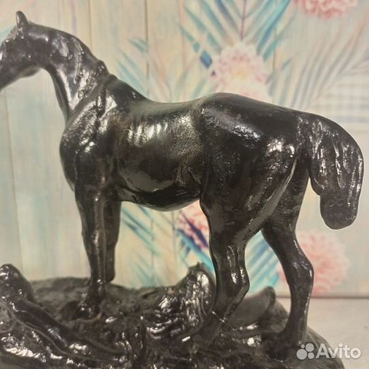 Куса Касли. лошади