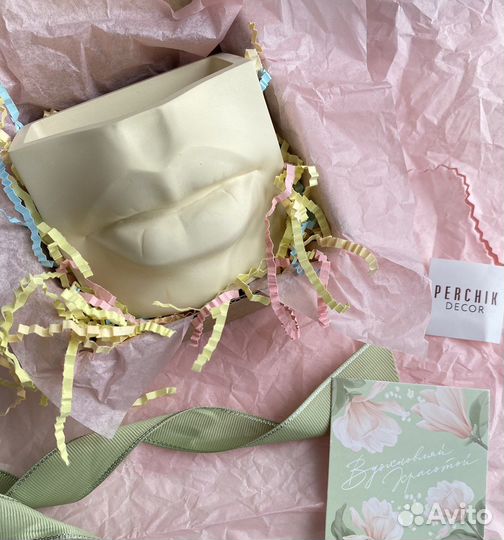 Кашпо органайзер Губы