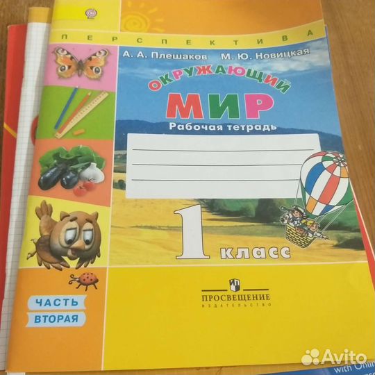 Рабочая тетрадь 1 класс