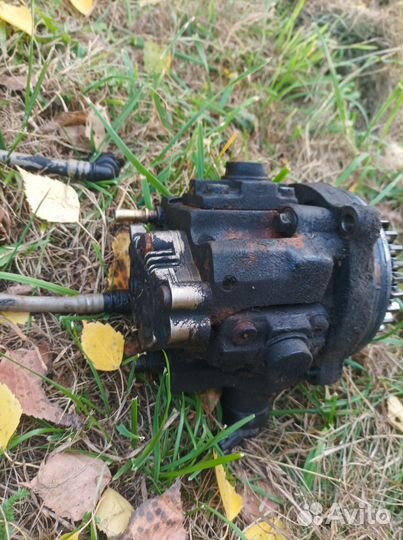 Насос тнвд каминс