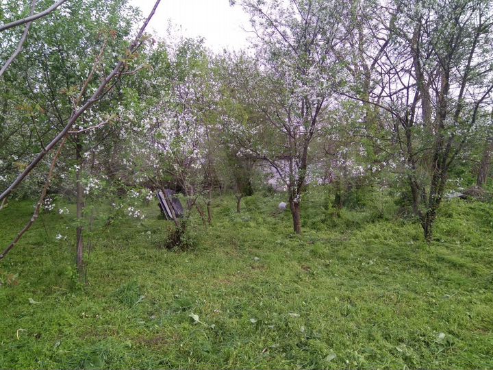 Участок 31 сот. (ИЖС)
