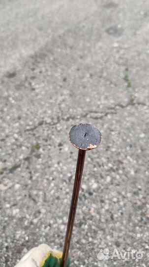 Квок на сома