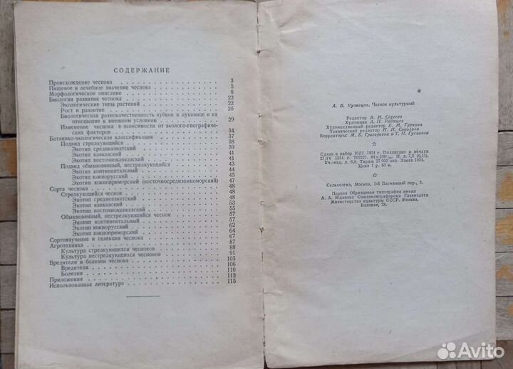 Чеснок культурный. А. В. Кузнецов. 1954 год