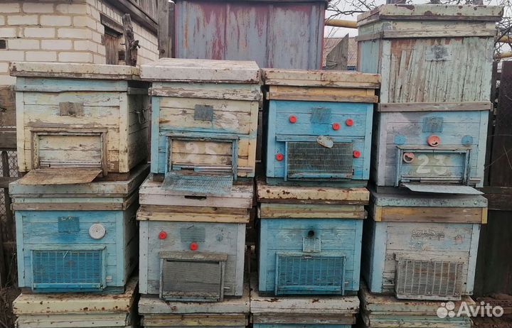 Продам ульи для пчел