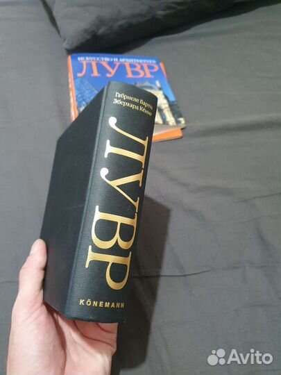 Книга Лувр. Искусство и архитектура