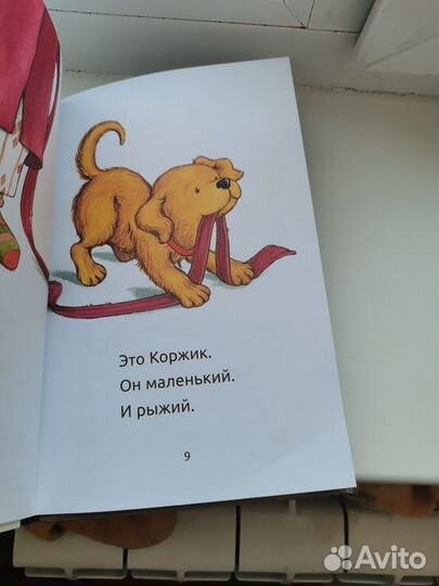 Коржик, Алисса Капучилли