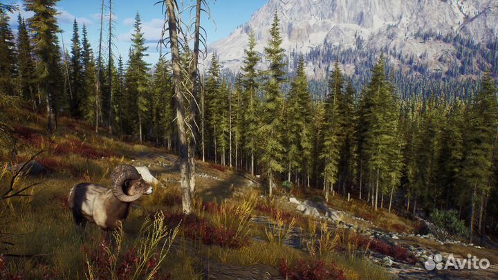 Way of the Hunter RU (Steam/Steam Deck)